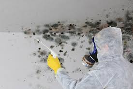 Best Forensic Mold Investigation  in Oak Grove Heights, AR